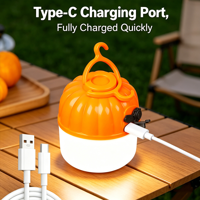 Mini Lampe LED Portable en For - Outdoor Lighting Electric avis et prix